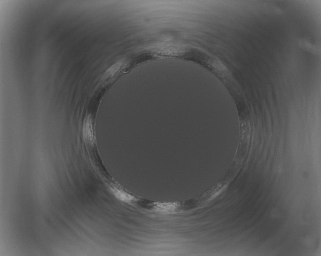 X0000080780143200701051337
