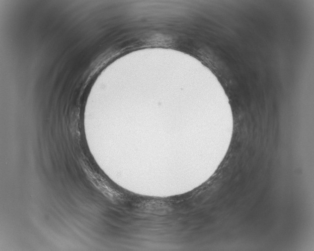X0000080780146200701051336