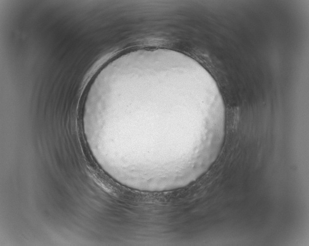 X0000080780147200701051336