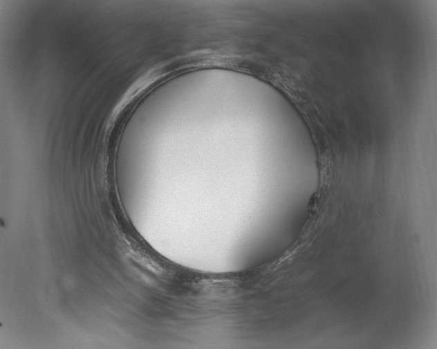 X0000080780150200701051336