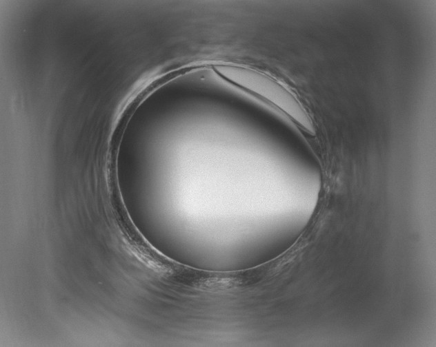 X0000080780152200701051336