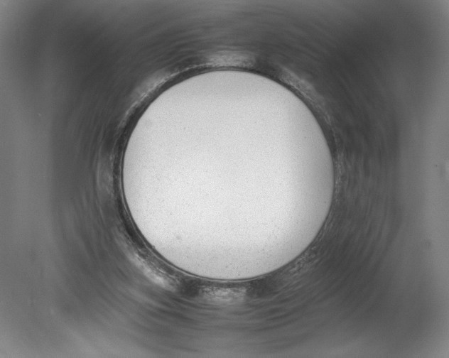 X0000080780155200701051336