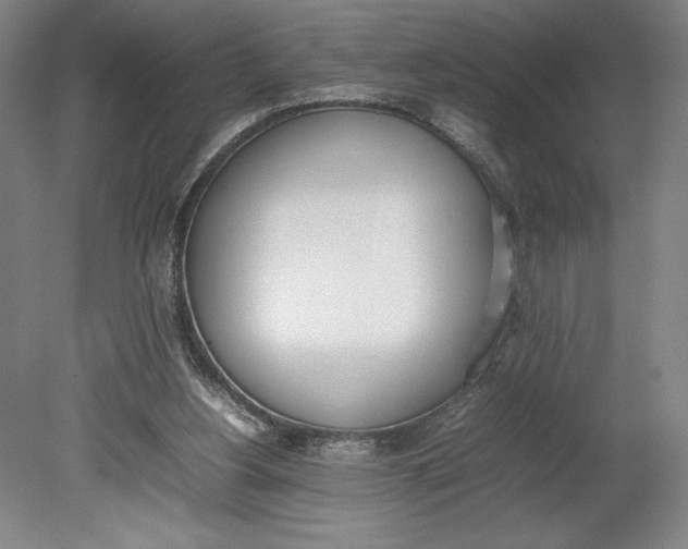 X0000080780156200701051336