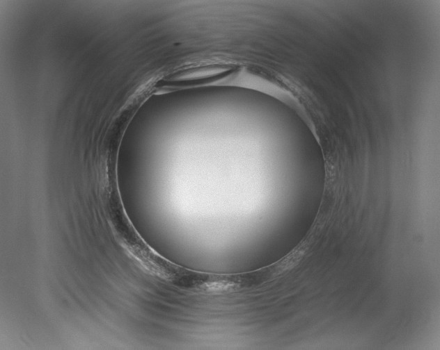 X0000080780158200701051336