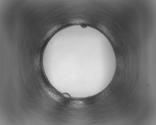 X0000080780159200701051336