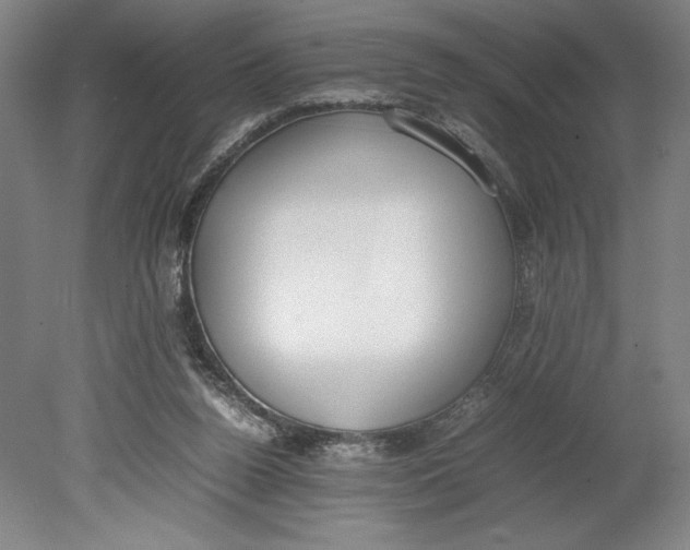 X0000080780160200701051336