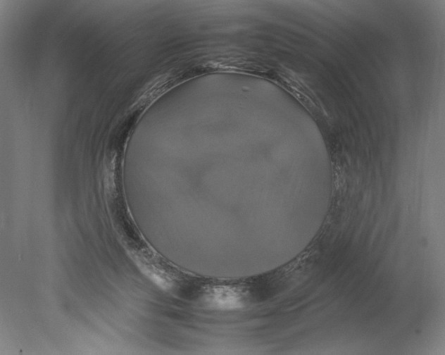X0000080780163200701051337