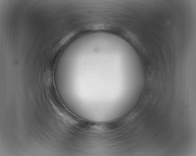 X0000080780164200701051337
