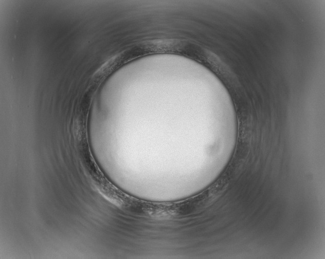 X0000080780165200701051337