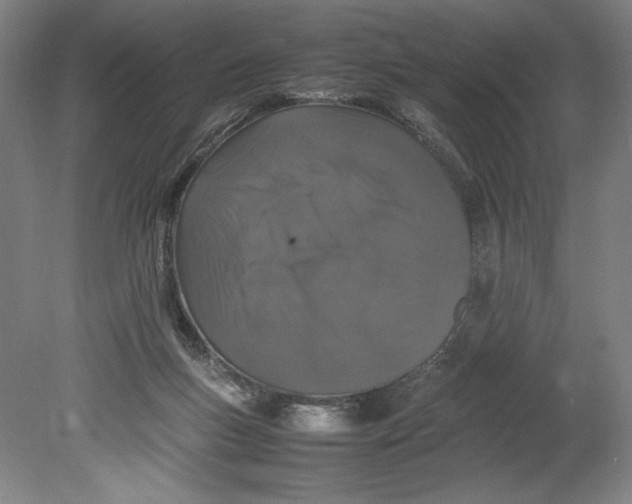 X0000080780167200701051337