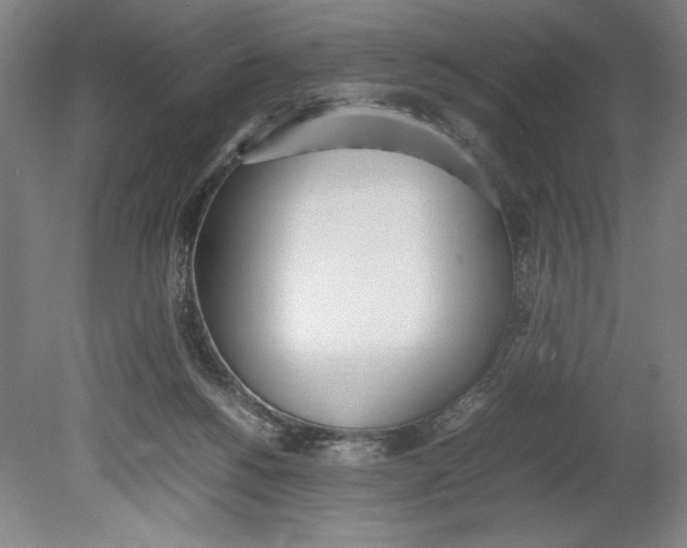 X0000080780168200701051337