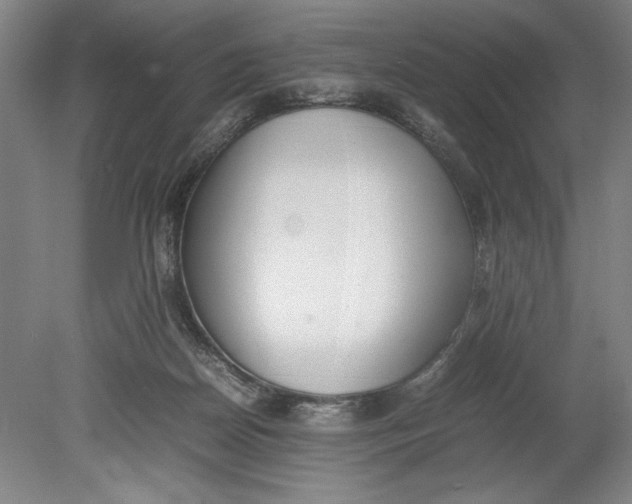 X0000080780170200701051337