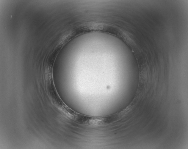X0000080780172200701051337