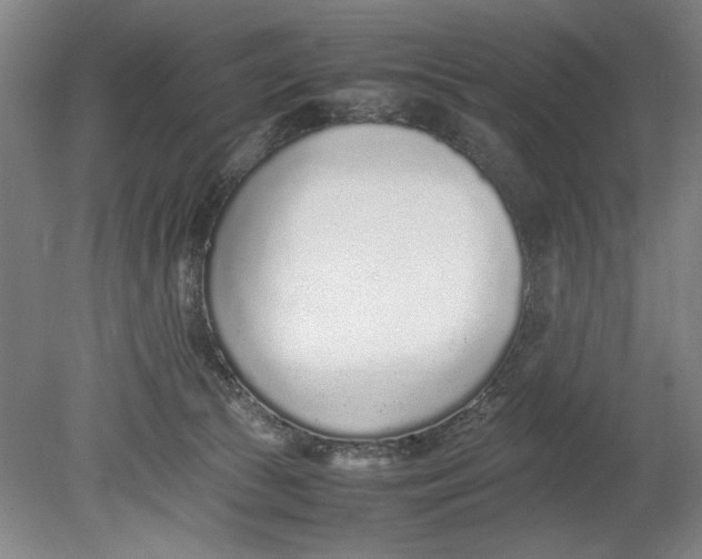 X0000080780177200701051337