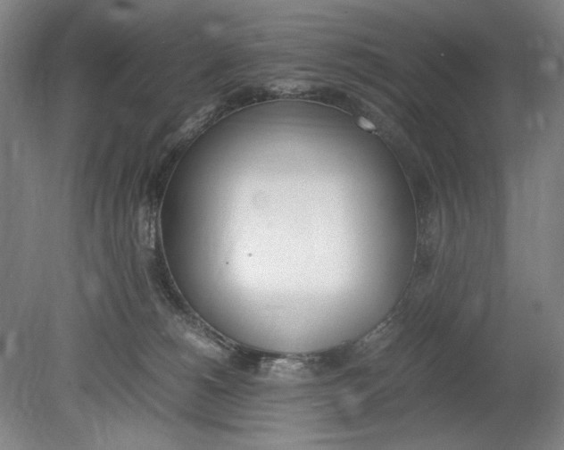 X0000080780180200701051337