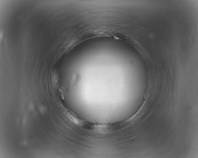 X0000080780192200701051337