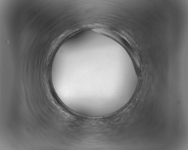 X0000080780193200701051336