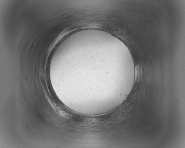 X0000080780195200701051336