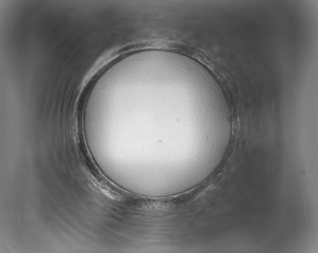 X0000080780198200701051336