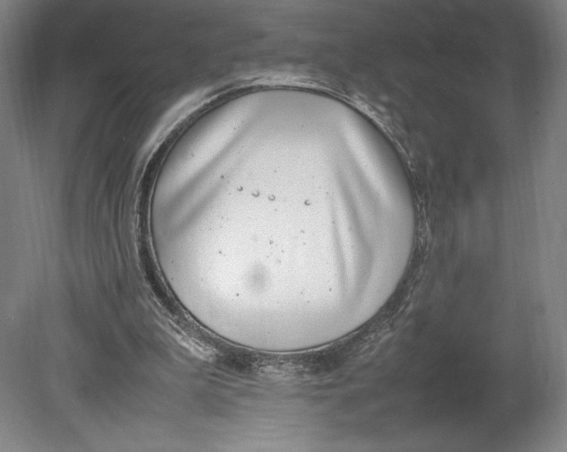 X0000080780199200701051336