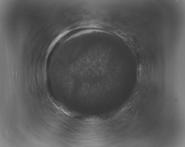 X0000080780200200701051336