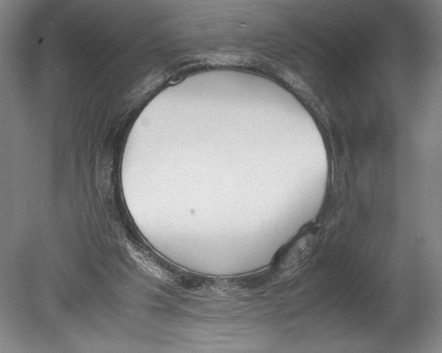 X0000080780201200701051336