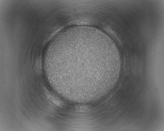 X0000080780202200701051336