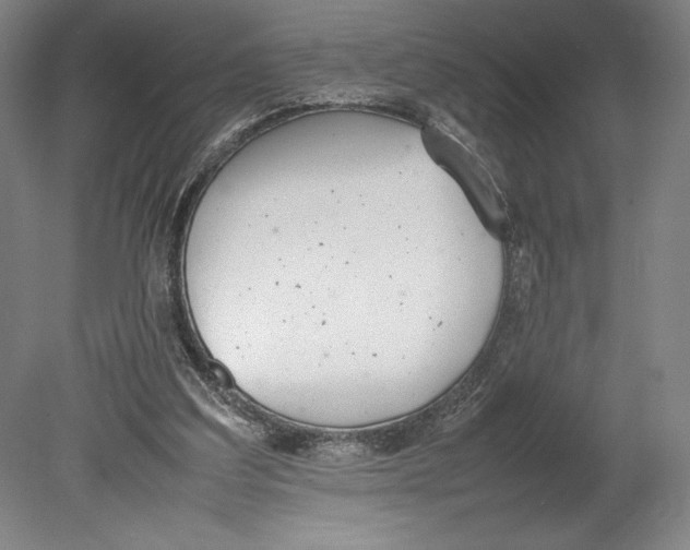 X0000080780203200701051336