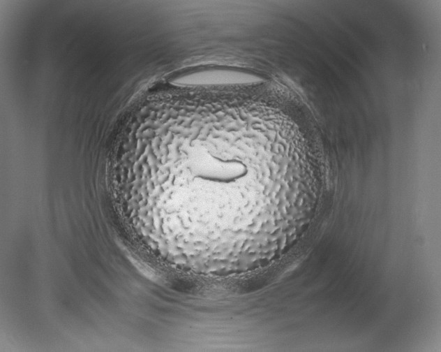 X0000080780205200701051336