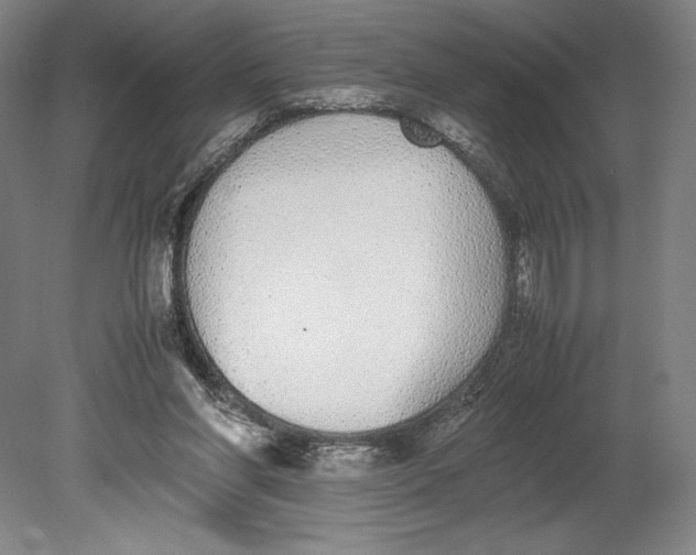 X0000080780206200701051336