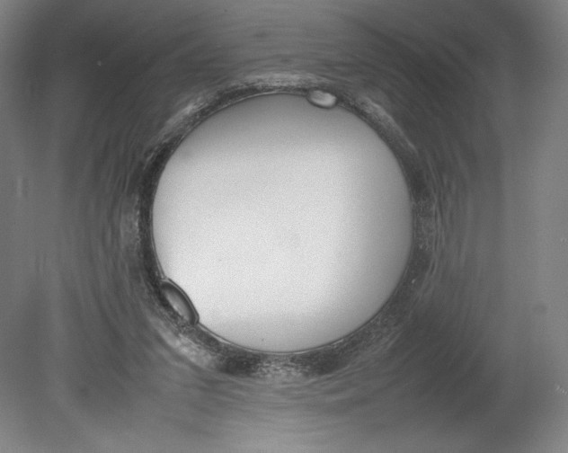 X0000080780207200701051336