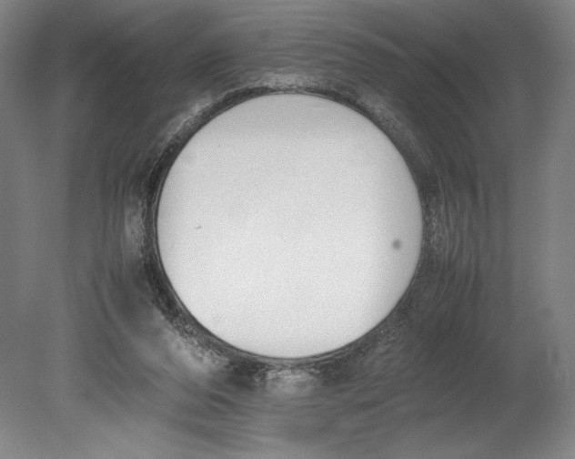 X0000080780208200701051336
