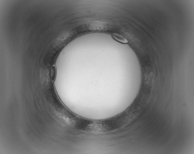 X0000080780211200701051336