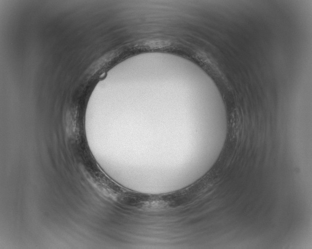 X0000080780212200701051336