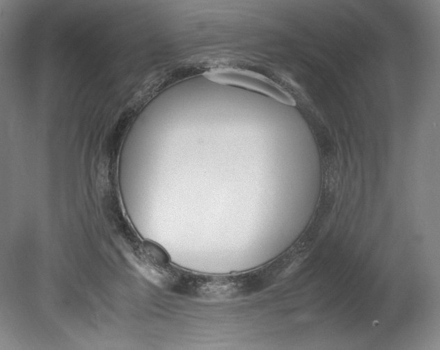 X0000080780213200701051336