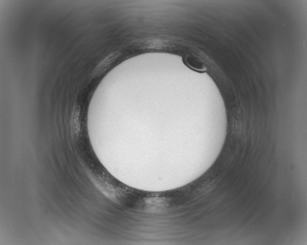 X0000080780216200701051336
