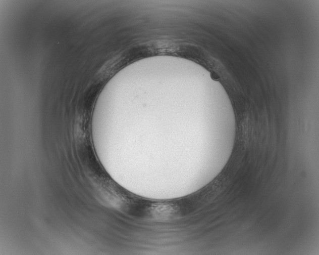 X0000080780218200701051336
