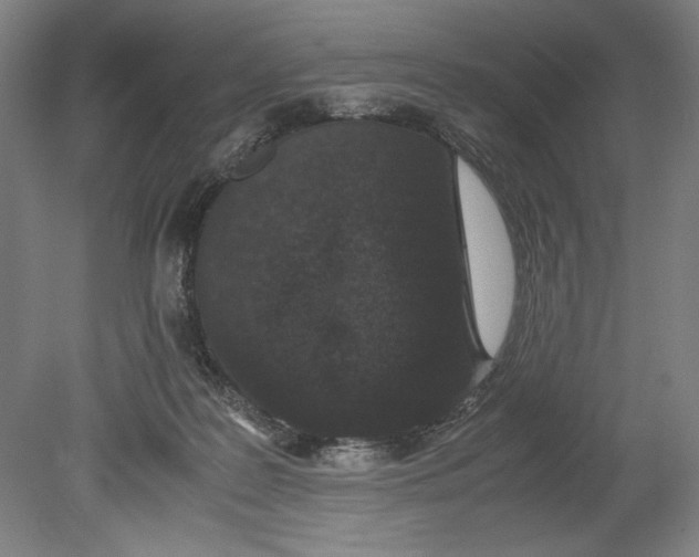 X0000080780219200701051336