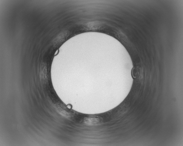 X0000080780220200701051336