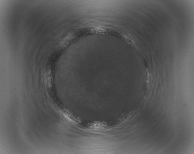 X0000080780223200701051336