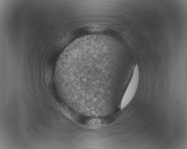 X0000080780227200701051336