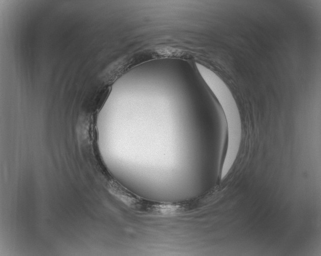 X0000080780233200701051336