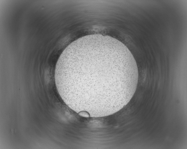 X0000080780236200701051335