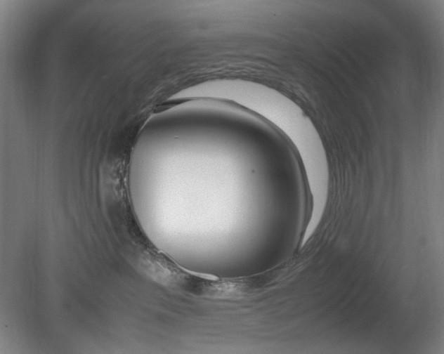 X0000080780237200701051335