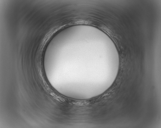 X0000080780241200701051335