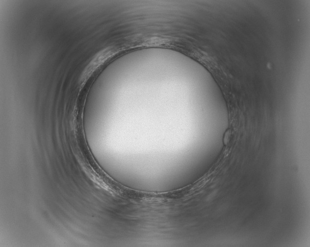 X0000080780242200701051335