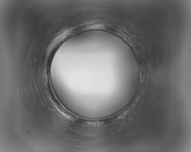 X0000080780245200701051335