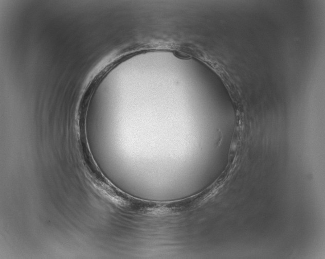 X0000080780246200701051335