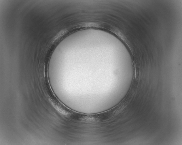 X0000080780253200701051335