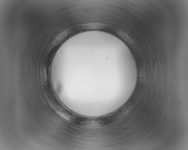 X0000080780254200701051335